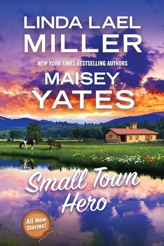 Small Town Hero - Paperback