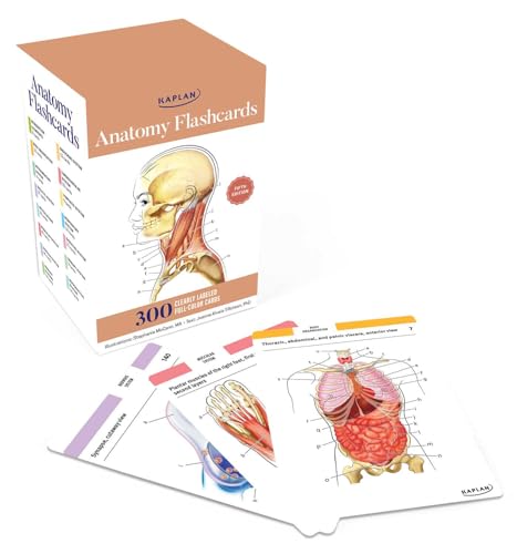 Anatomy Flashcards: 300 Flashcards with Anatomically Precise Drawings and Exhaustive Descriptions - Other