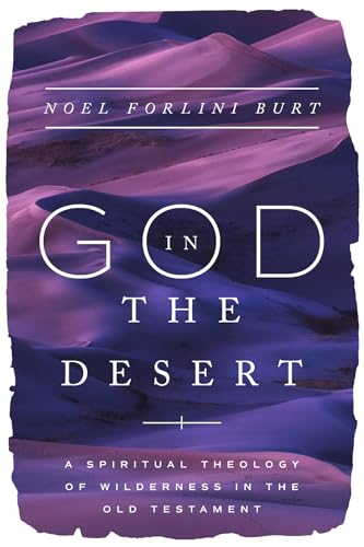 God in the Desert: A Spiritual Theology of Wilderness in the Old Testament - Paperback