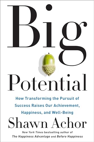 Big Potential: How Transforming the Pursuit of Success Raises Our Achievement, Happiness, and Well-Being - Hardcover