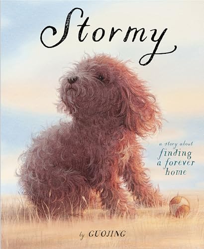 Stormy: A Story about Finding a Forever Home - Hardcover