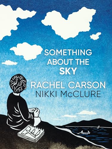 Something about the Sky - Hardcover