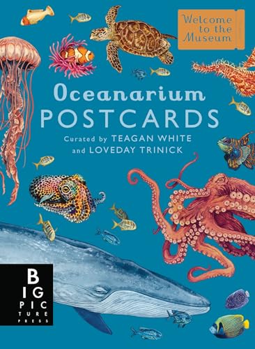 Oceanarium Postcard Box Set - Other