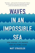 Waves in an Impossible Sea: How Everyday Life Emerges from the Cosmic Ocean - Paperback