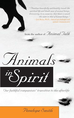 Animals in Spirit: Our Faithful Companions' Transition to the Afterlife - Paperback