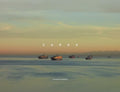 Richard Misrach: Cargo - Hardcover
