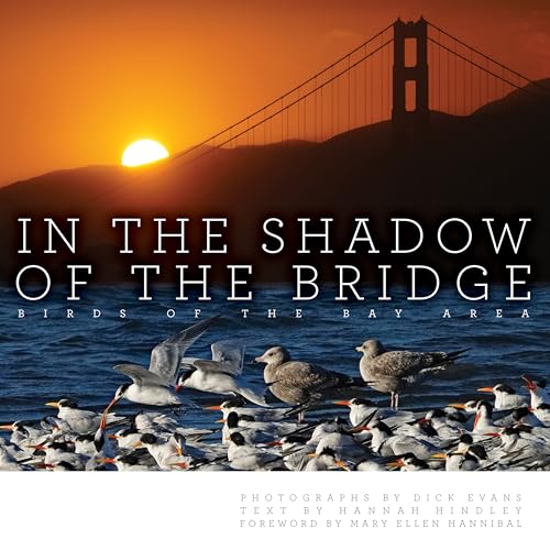 In the Shadow of the Bridge: Birds of the Bay Area - Hardcover
