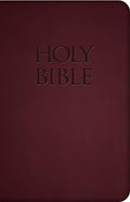 Holy Bible-Nab - Imitation Leather