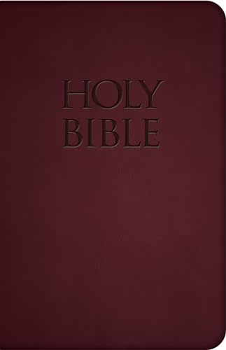 Holy Bible-Nab - Imitation Leather