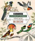 Brain Games - Sticker by Number - Vintage: Birds (28 Images to Sticker) - Paperback