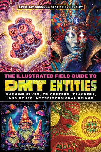 The Illustrated Field Guide to Dmt Entities: Machine Elves, Tricksters, Teachers, and Other Interdimensional Beings - Paperback