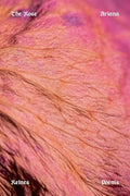 The Rose: Poems - Paperback