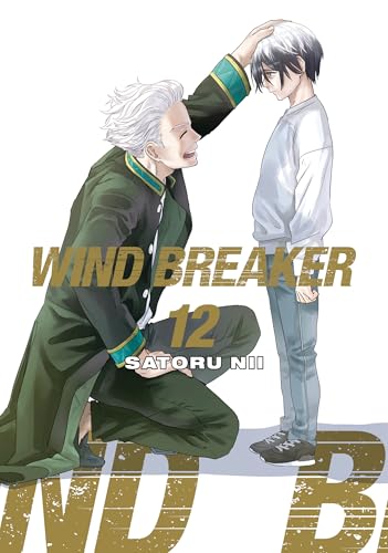 Wind Breaker 12 - Paperback