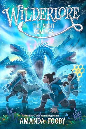 The Night Compass - Hardcover
