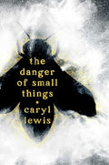 The Danger of Small Things - Hardcover