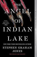 The Angel of Indian Lake - Paperback