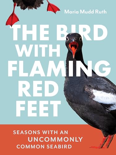 The Bird with Flaming Red Feet: Seasons with an Uncommonly Common Seabird - Paperback
