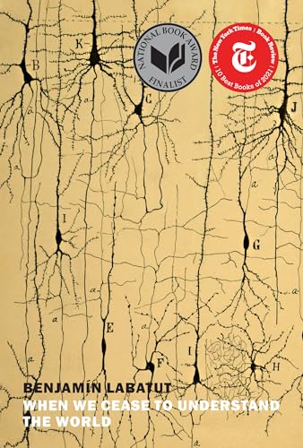 When We Cease to Understand the World - Paperback