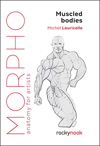Morpho: Muscled Bodies: Anatomy for Artists - Paperback