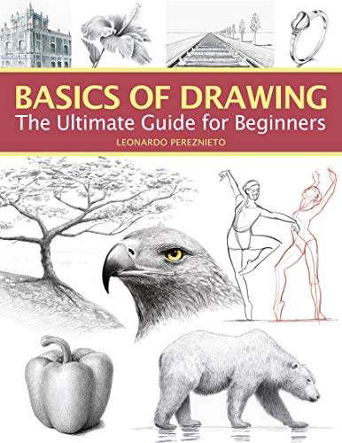 Basics of Drawing: The Ultimate Guide for Beginners - Paperback