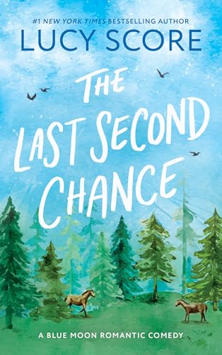 The Last Second Chance - Paperback