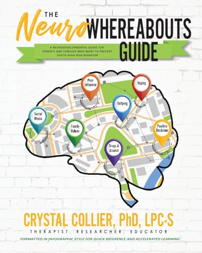 The NeuroWhereAbouts Guide: A Neurodevelopmental Guide for Parents and Families Who Want to Prevent Youth High-Risk Behavior - Paperback