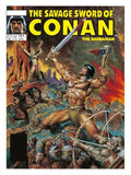 The Savage Sword of Conan: The Original Comics Omnibus Vol.11 - Hardcover