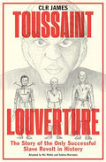 Toussaint Louverture: The Story of the Only Successful Slave Revolt in History - Paperback