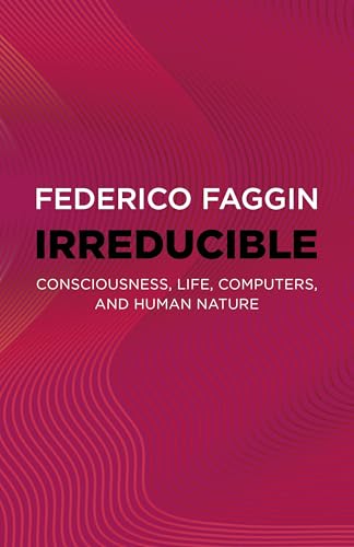 Irreducible: Consciousness, Life, Computers, and Human Nature - Paperback