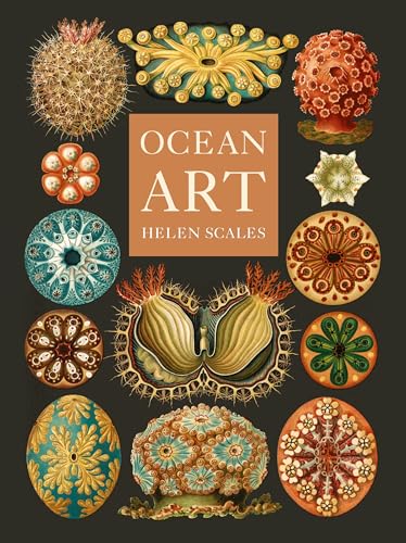 Ocean Art: From the Shore to the Deep - Hardcover