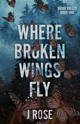 Where Broken Wings Fly - Paperback