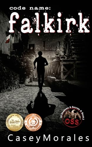 Falkirk: A toe-curling mm romance wrapped in a spy thriller - Paperback