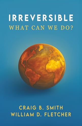 Irreversible: What Can We Do? - Paperback