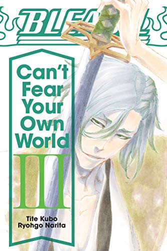 Bleach: Can't Fear Your Own World, Vol. 3 - Paperback
