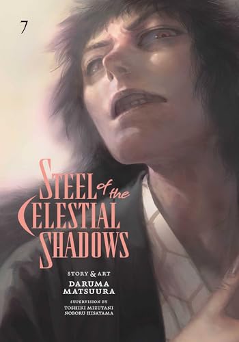 Steel of the Celestial Shadows, Vol. 7 - Paperback