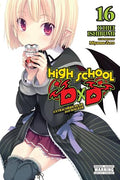 High School DXD, Vol. 16 (Light Novel): Extracurricular Daywalker Volume 16 - Paperback