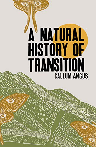 A Natural History of Transition - Paperback
