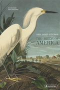 The Birds of America - Hardcover