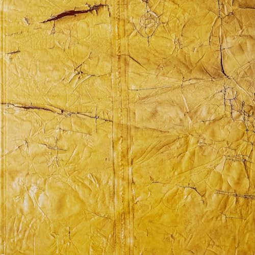 David Hammons - Hardcover