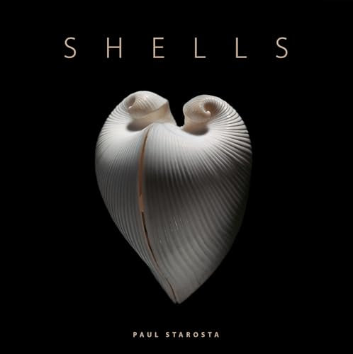 Shells - Hardcover