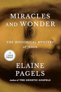 Miracles and Wonder: The Historical Mystery of Jesus - Paperback