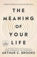 The Meaning of Your Life: Finding Purpose in an Age of Emptiness - Paperback