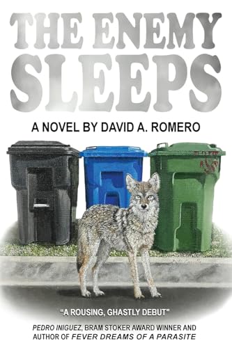 The Enemy Sleeps - Paperback