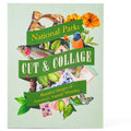 Cut & Collage National Parks: Beautiful Images of America's Natural Wonders - Paperback