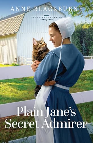 Plain Jane's Secret Admirer: Volume 11 - Paperback