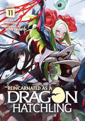 Reincarnated as a Dragon Hatchling (Light Novel) Vol. 11 - Paperback