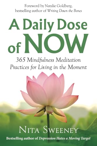 A Daily Dose of Now: 365 Mindfulness Meditation Practices for Living in the Moment - Paperback