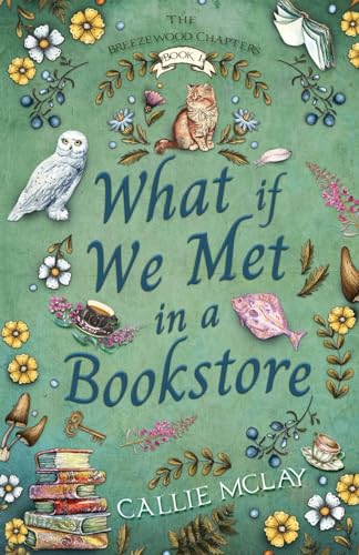 What If We Met In A Bookstore - Paperback