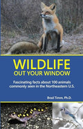 Wildlife Out Your Window: Fascinating Facts About 100 Animals Commonly Seen in the Northeastern U.S. - Paperback