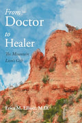 From Doctor to Healer: The Mountain Lion's Gift - Paperback